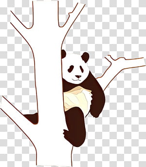 Bear, Line, Character, Pet transparent background PNG clipart thumbnail