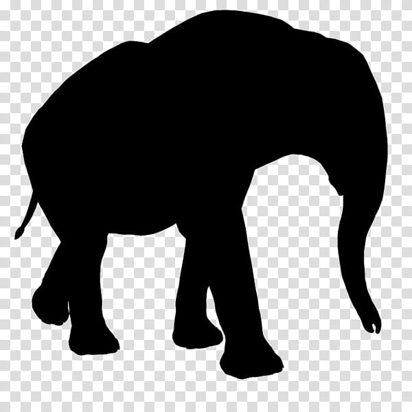 Elephant, Indian Elephant, African Elephant, Silhouette, Asian Elephant, Snout, Animal Figure, Wildlife transparent background PNG clipart