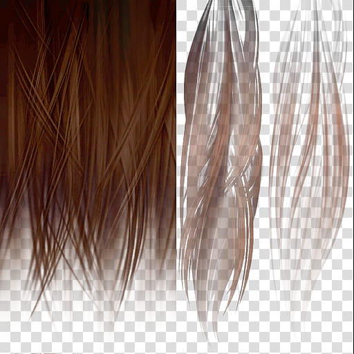 DOALR Mugen Tenshin Shinobi for XNALara XPS, brunette hair illustration transparent background PNG clipart