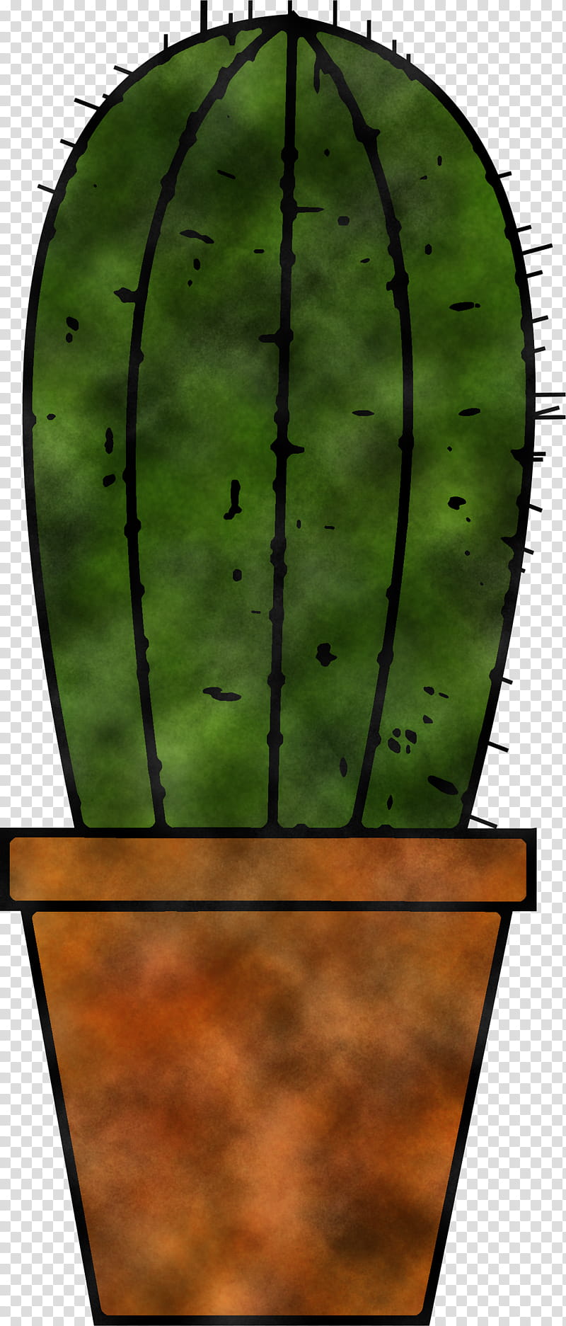Cactus, Green, Watermelon, Plant, Tree, Skateboard, Longboard, Skateboarding Equipment transparent background PNG clipart