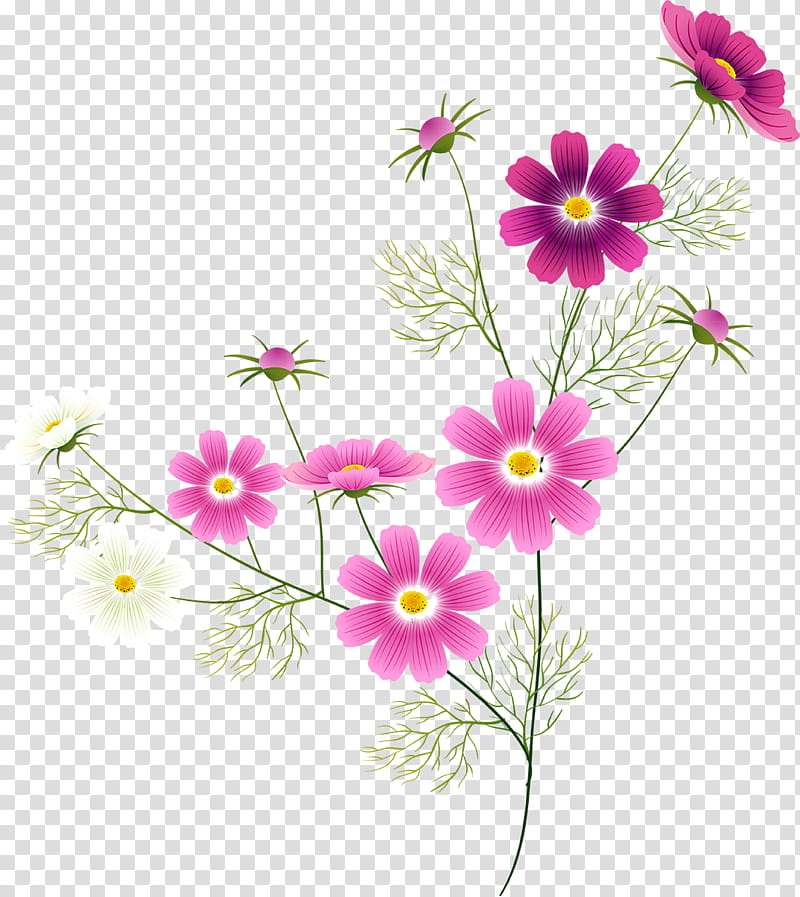 Drawing Of Family, Flower, Watercolor Painting, Flora, Plant, Garden Cosmos, Petal, Flower Arranging transparent background PNG clipart