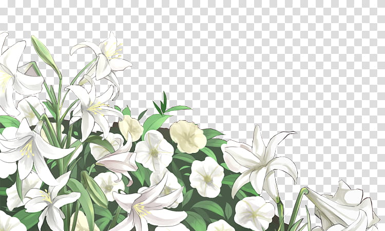 Texture White Flowers Illustration Transparent Background Png