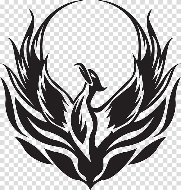 Bird Line Drawing, Phoenix, Logo, Symbol, Silhouette, Line Art, Stencil, Feather transparent background PNG clipart