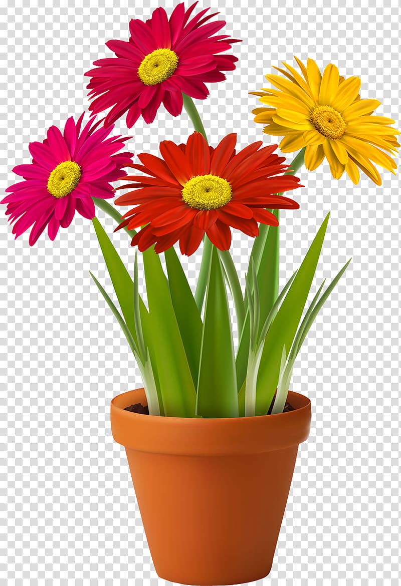 flower barberton daisy flowerpot plant houseplant, Gerbera, Petal, Yellow, Cut Flowers transparent background PNG clipart