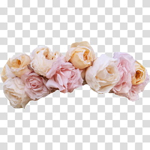 Flower Crowns, white and pink roses illustration transparent background PNG clipart