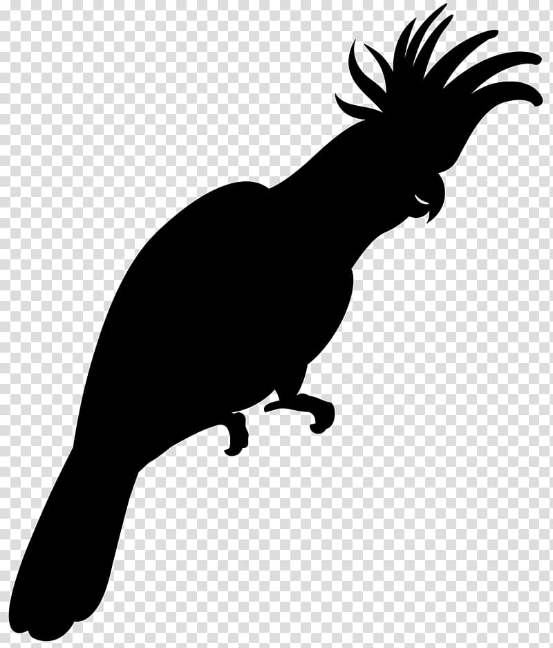 Bird Silhouette, Beak, Pet, Tail, Blackandwhite, Cockatoo, Parrot, Claw transparent background PNG clipart