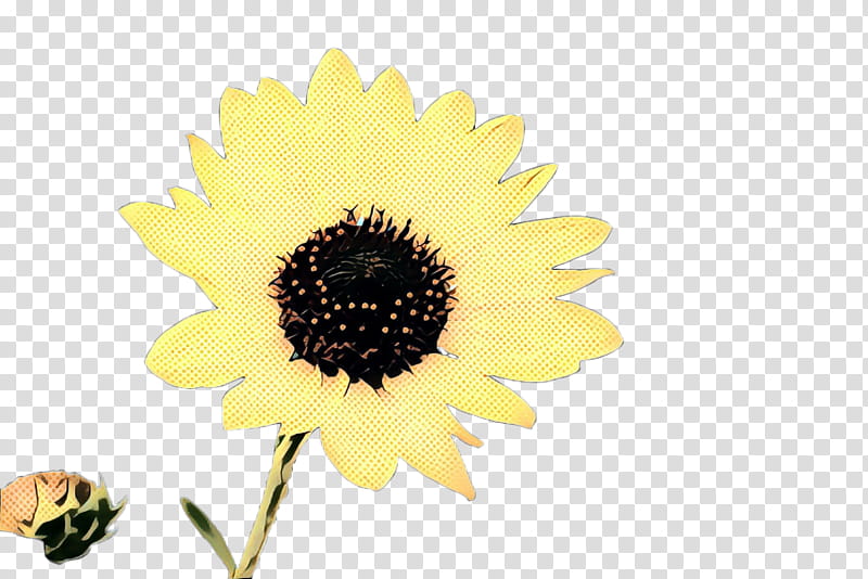 Sunflower, Pop Art, Retro, Vintage, Yellow, Plant, Flowering Plant, Pollen transparent background PNG clipart