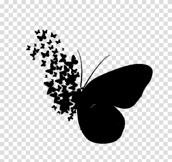Butterfly Silhouette, Paper, Wall, Sticker, Brushfooted Butterflies, Wall Decal, Partition Wall, Frames transparent background PNG clipart