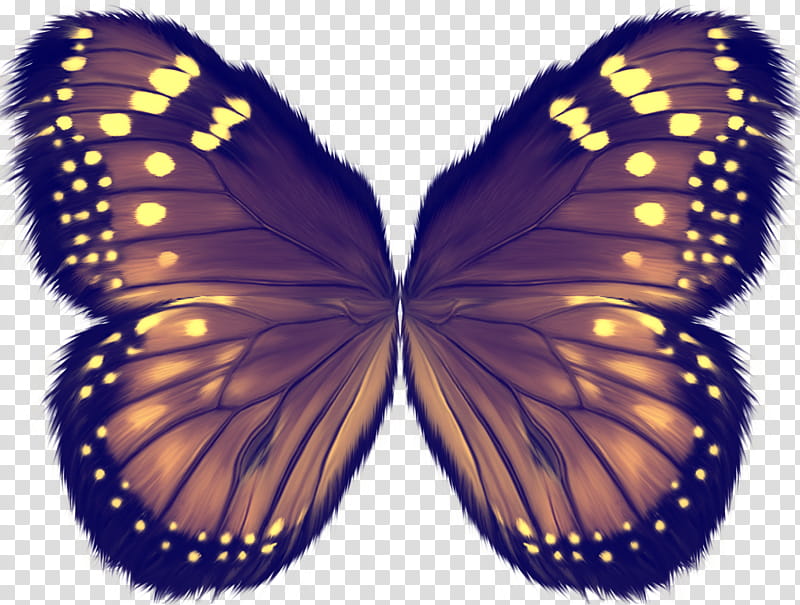 Object Wings , brown and yellow butterfly illustration transparent background PNG clipart