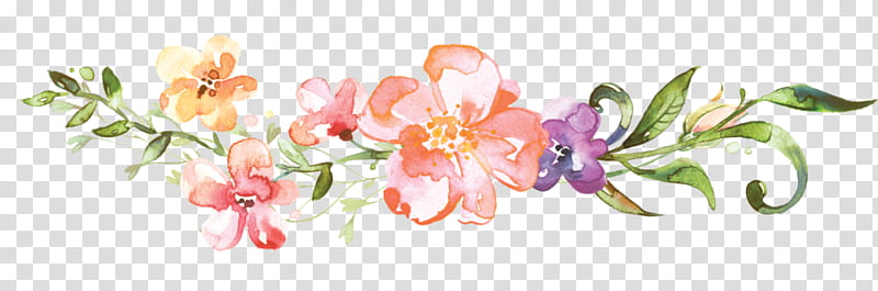Watercolor Pink Flowers, Christian , Plant, Petal, Watercolor Paint, Cut Flowers, Moth Orchid, Blossom transparent background PNG clipart