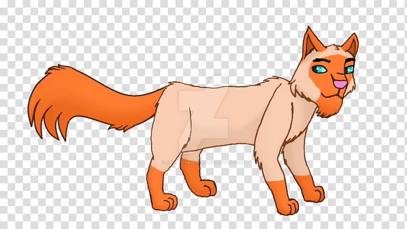 Cat And Dog, RED Fox, Lion, Horse, Animal, Character, Snout, Orange Sa transparent background PNG clipart