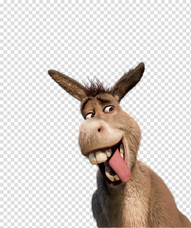 Shrek Donkey Face GIFs