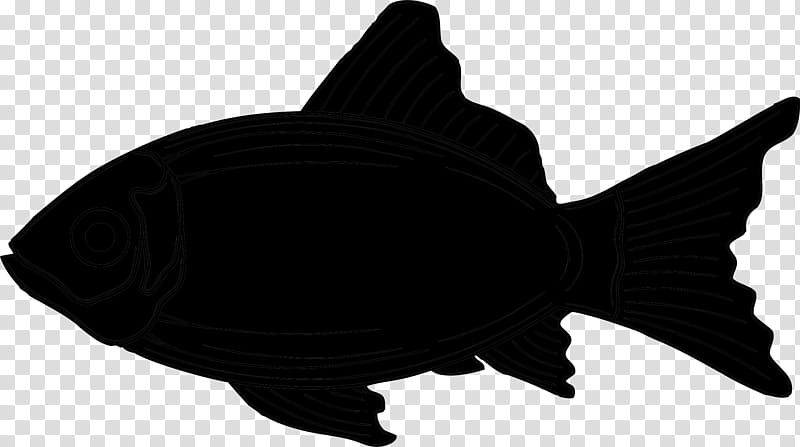 Fish, Black M, Silhouette, Fin, Bonyfish, Tail, Carp transparent background PNG clipart