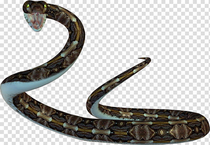 Twins Poser , brown snake transparent background PNG clipart