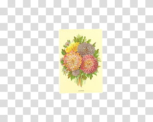 Vintage Flowers, multicolored flowers painting transparent background PNG clipart thumbnail