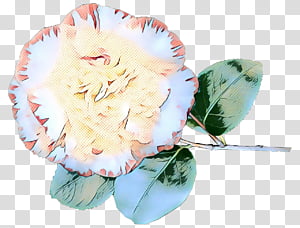 Pink Flowers, Pop Art, Retro, Vintage, Cut Flowers, Flower Bouquet, Petal, Plants transparent background PNG clipart thumbnail