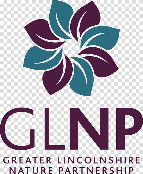 Cartoon Nature, Logo, Flower, Partnership, Lincolnshire, Purple, Text, Line transparent background PNG clipart