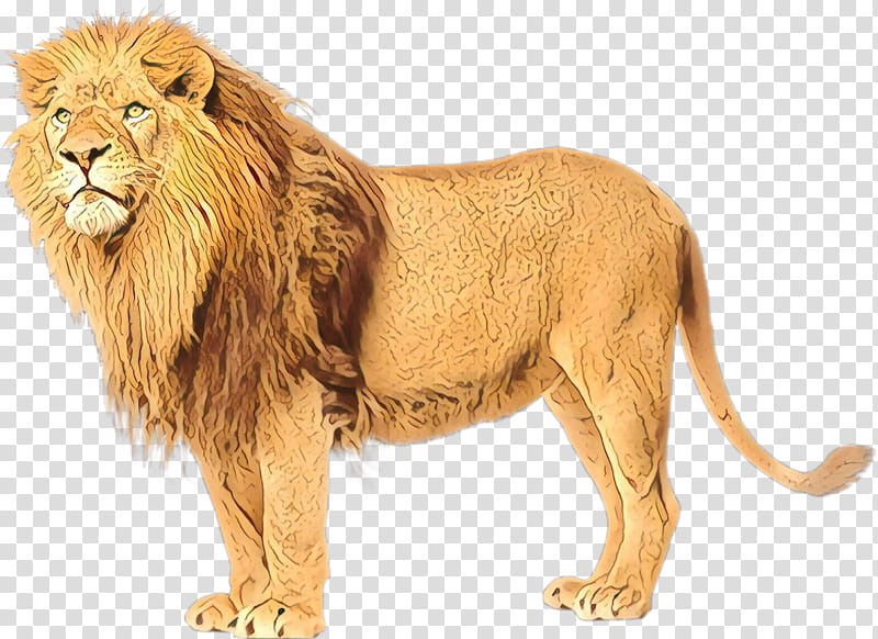 Cats, East African Lion, White Lion, Leopard, Animal, Bengal Tiger, Roar, Masai Lion transparent background PNG clipart