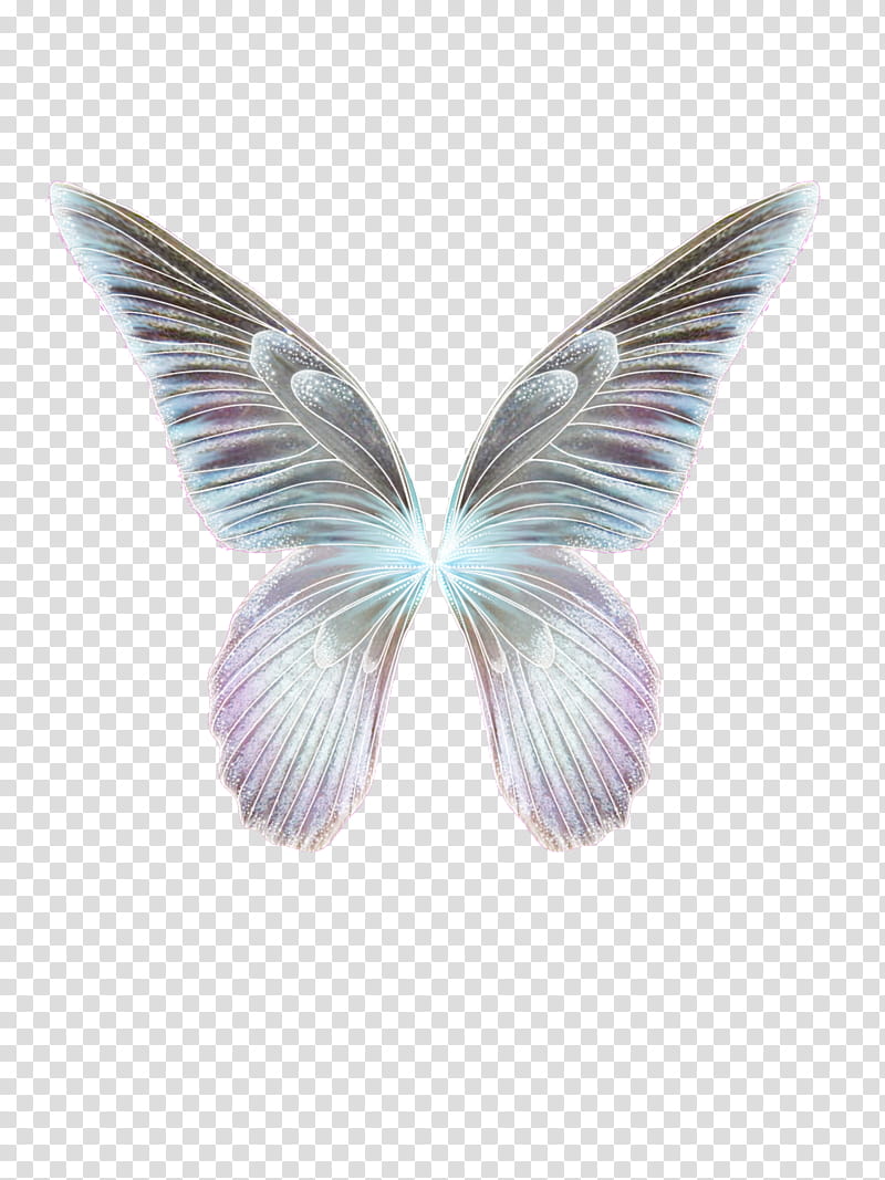 Faerie Wing s, black, teal, and pink butterfly wings illustration transparent background PNG clipart