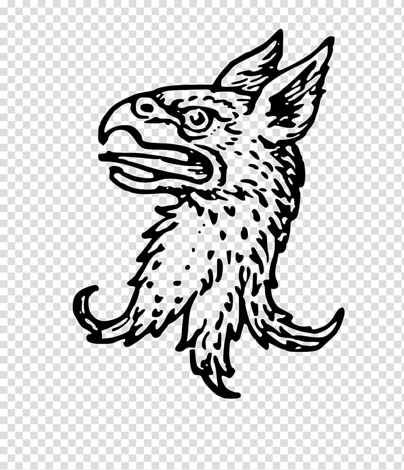 Cat Drawing, Heraldry, Whiskers, Griffin, Erasure, Jessantdelys, Head, Line Art transparent background PNG clipart