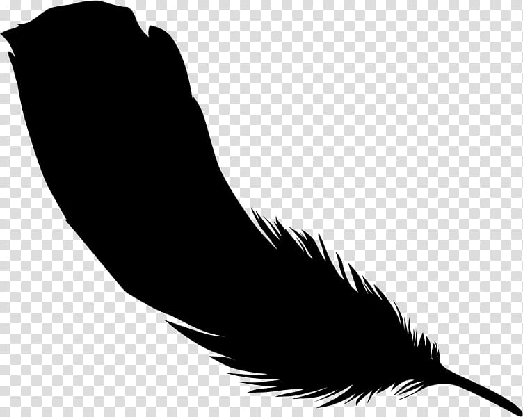 Writing, Beak, Feather, Silhouette, Black M, Quill, Wing, Tail transparent background PNG clipart