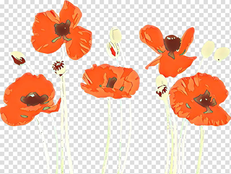 Orange, Cartoon, Coquelicot, Poppy Family, Corn Poppy, Flower, Plant, Cut Flowers transparent background PNG clipart