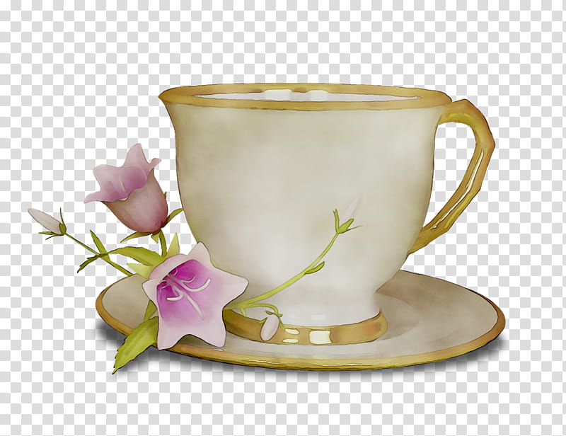 Facebook Plant, Coffee Cup, School
, Porcelain, Saucer, Mug, Still Life , Tagged transparent background PNG clipart