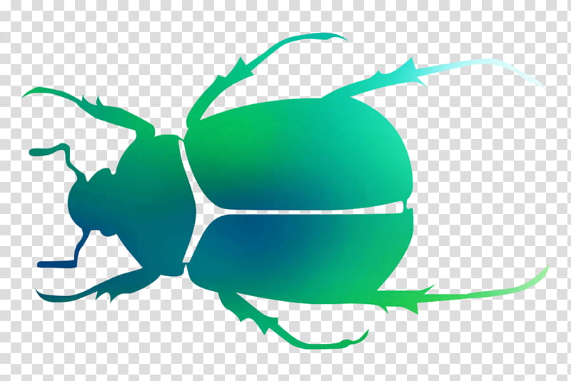 Leaf, Beetle, Pollinator, Pest, Microsoft Azure, Membrane, Insect, Scarabs transparent background PNG clipart