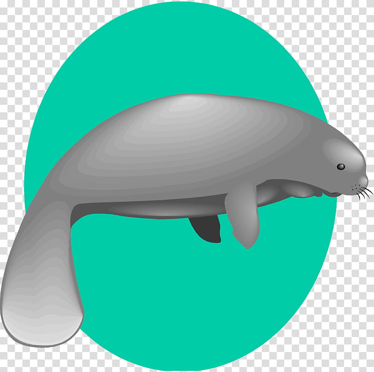 Background Baby, Manatee, Baby Manatee, Dugong, Document, Sea Cows, Dolphin, Green transparent background PNG clipart