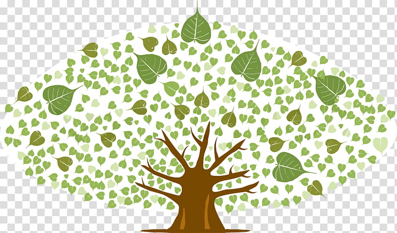 Bodhi Leaf Bodhi Day Bodhi, Green, Tree, Plant, Plant Stem, Woody Plant, Arbor Day, Grass transparent background PNG clipart