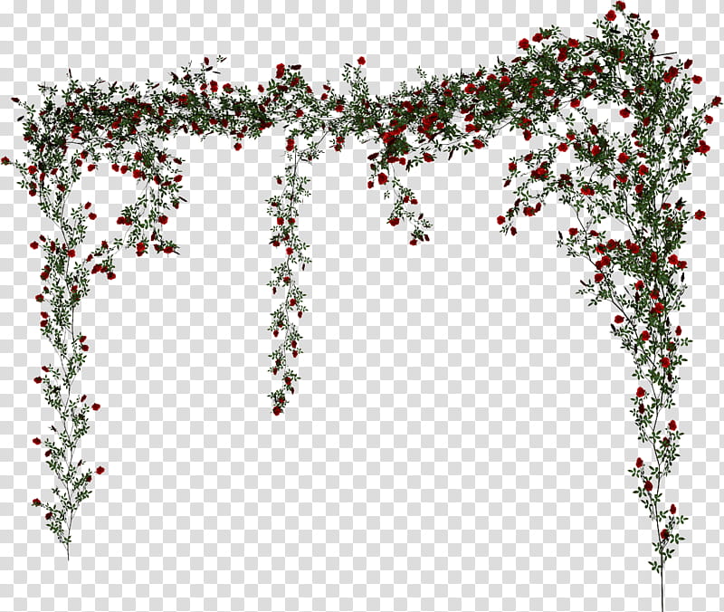 Roses, red flower arch graphic transparent background PNG clipart