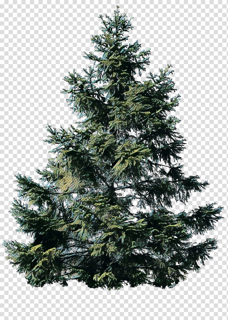 Christmas Black And White, Pop Art, Retro, Vintage, Tree, Scots Pine, Norway Spruce, Sprucefir Forests transparent background PNG clipart