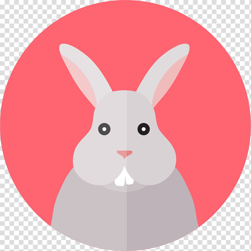 Easter Bunny, Rabbit, Koala, Avatar, Computer Software, Online And Offline, Unified State Exam, Animal, Red, Pink transparent background PNG clipart