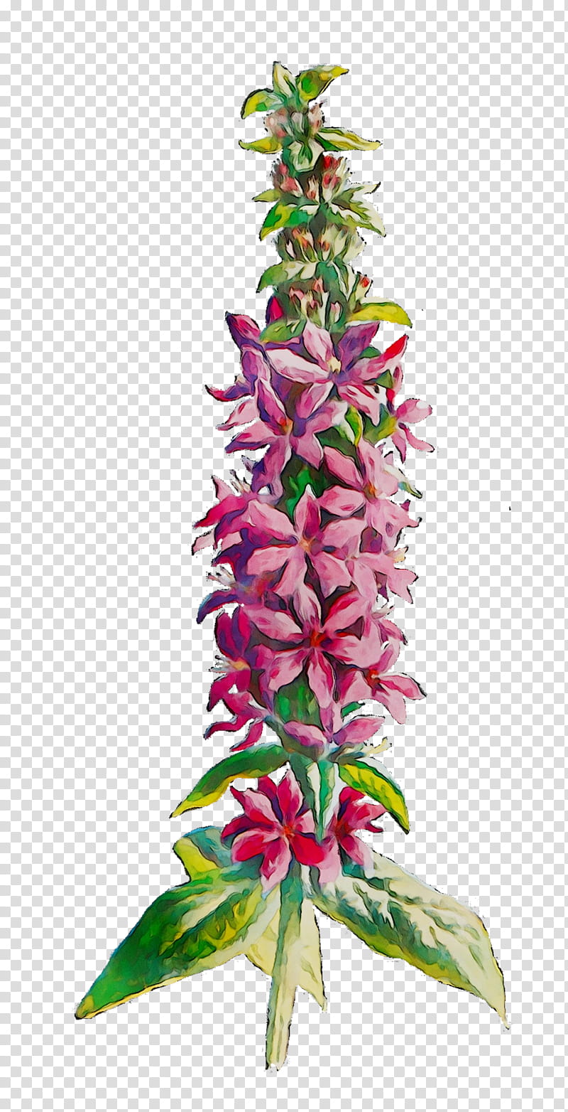 Pink Flower, Plant Stem, Plants, Aquarium Decor, Terrestrial Plant, Lemon Beebalm, Pedicel, Lobelia transparent background PNG clipart
