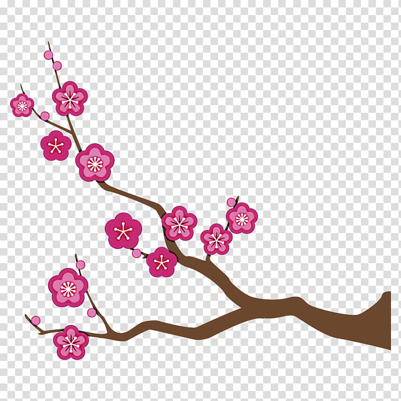 plum branch plum winter flower, Pink, Cherry Blossom, Plant, Twig, Spring
, Pedicel, Plant Stem transparent background PNG clipart