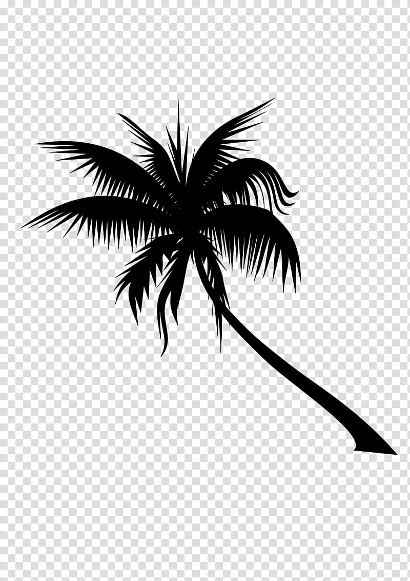 Palm Tree Silhouette, Coconut, Dypsis Decaryi, Adonidia, Trunk, Plants, Palm Trees, Black transparent background PNG clipart