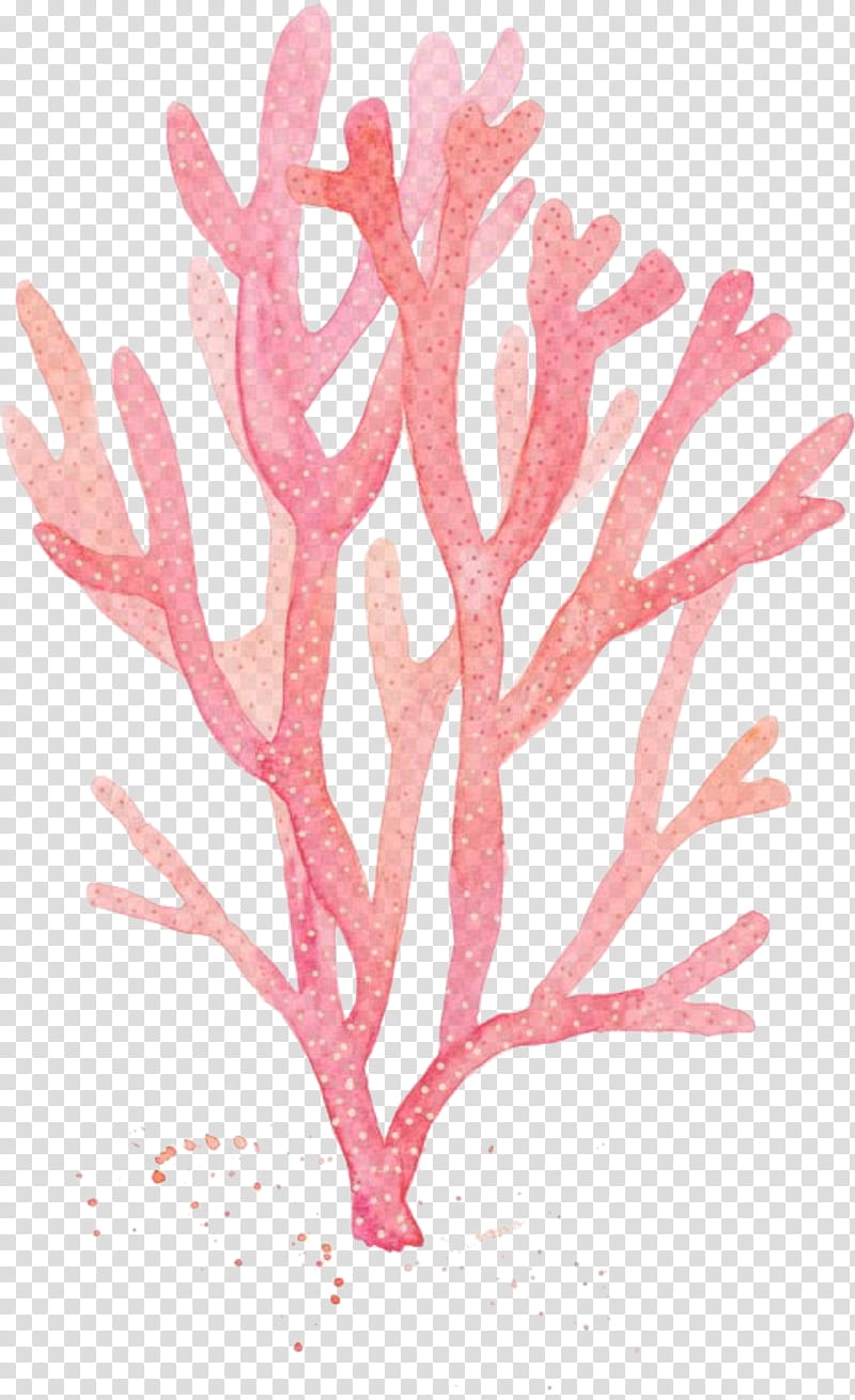 aquarium decor pink plant coral seaweed, Fish Supply, Flower transparent background PNG clipart