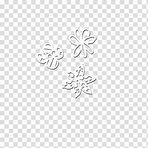 three white flower transparent background PNG clipart