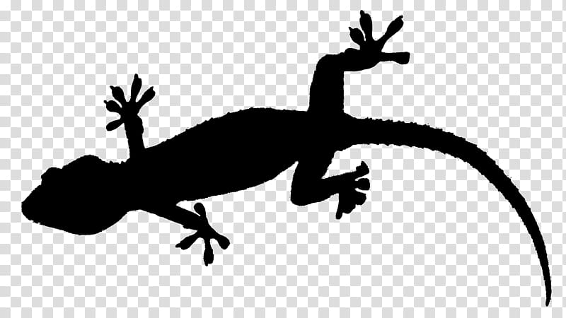 Animal, Gecko, Frog, Lizard, Silhouette, Reptile, Scaled Reptile, Tail transparent background PNG clipart