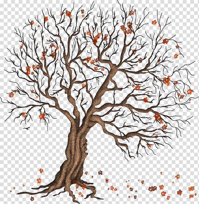 Autumn Winter trees, red tree illustration transparent background PNG clipart