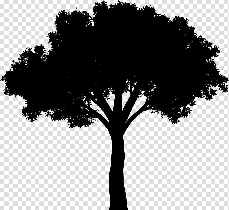 Oak Tree Silhouette, Black White M, Computer, Leaf, Sky, Woody Plant, Branch, Blackandwhite transparent background PNG clipart