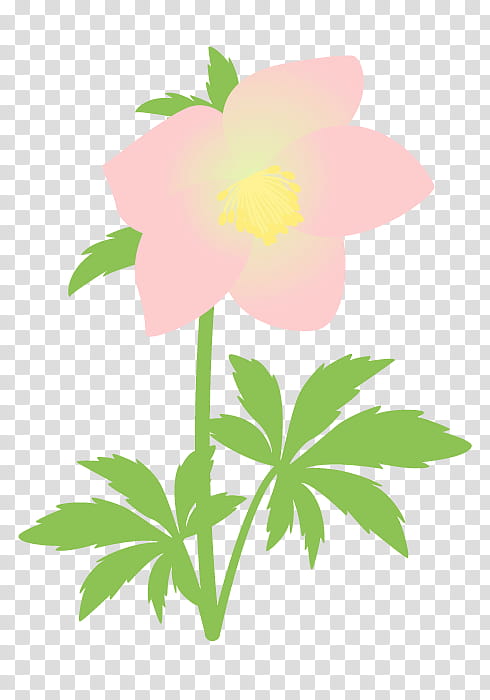 Background Family Day, Helleborus Niger, Flower, Mallows, Leaf, Plant Stem, Floral Design, Petal transparent background PNG clipart