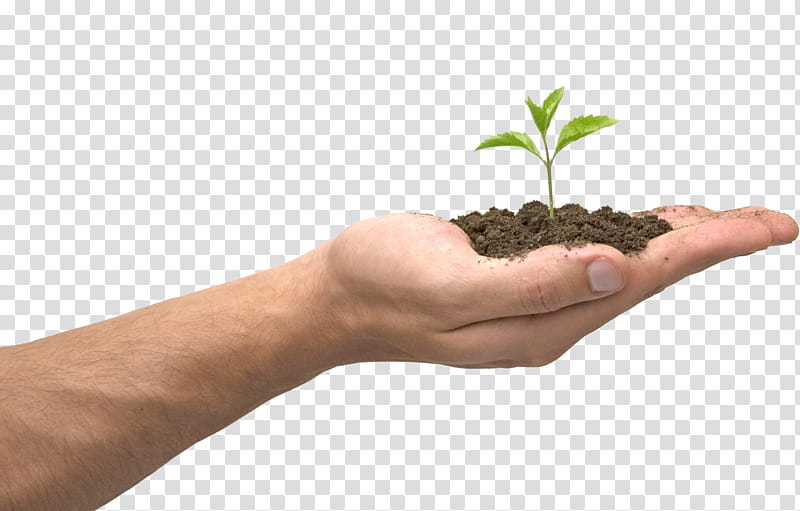 Background Flower, Hand, Blog, Business, Soil, Flowerpot, Plant, Houseplant transparent background PNG clipart