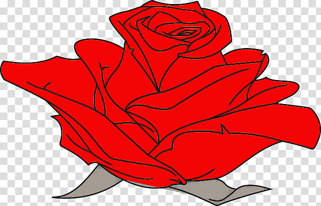 Rose, Red, Leaf, Flower, Plant, Petal, Carmine, Tree transparent background PNG clipart