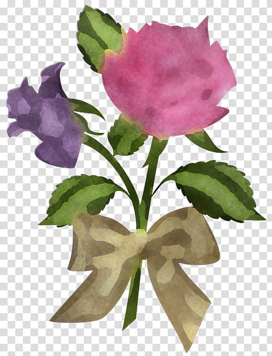 flower pink petal plant violet, Purple, Prickly Rose, Cut Flowers transparent background PNG clipart