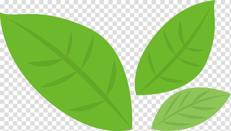 Banana leaf, Green, Plant, Symmetry transparent background PNG clipart