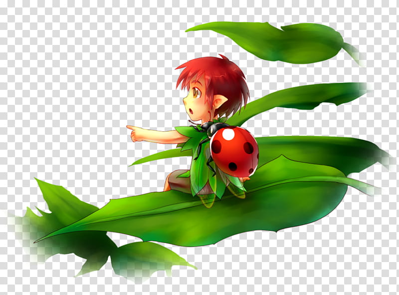 Ladybird, Flower, Fruit, Leaf, Lady Bird, Insect, Plant, Grass transparent background PNG clipart