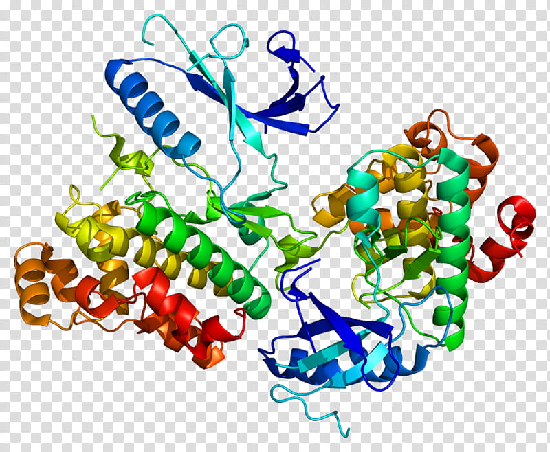 Monoamine Oxidase B Text, Monoamine Neurotransmitter, Monoamine Oxidase Inhibitor, Enzyme, Monoamine Oxidase A, Dopamine, Protein, Phenethylamine transparent background PNG clipart