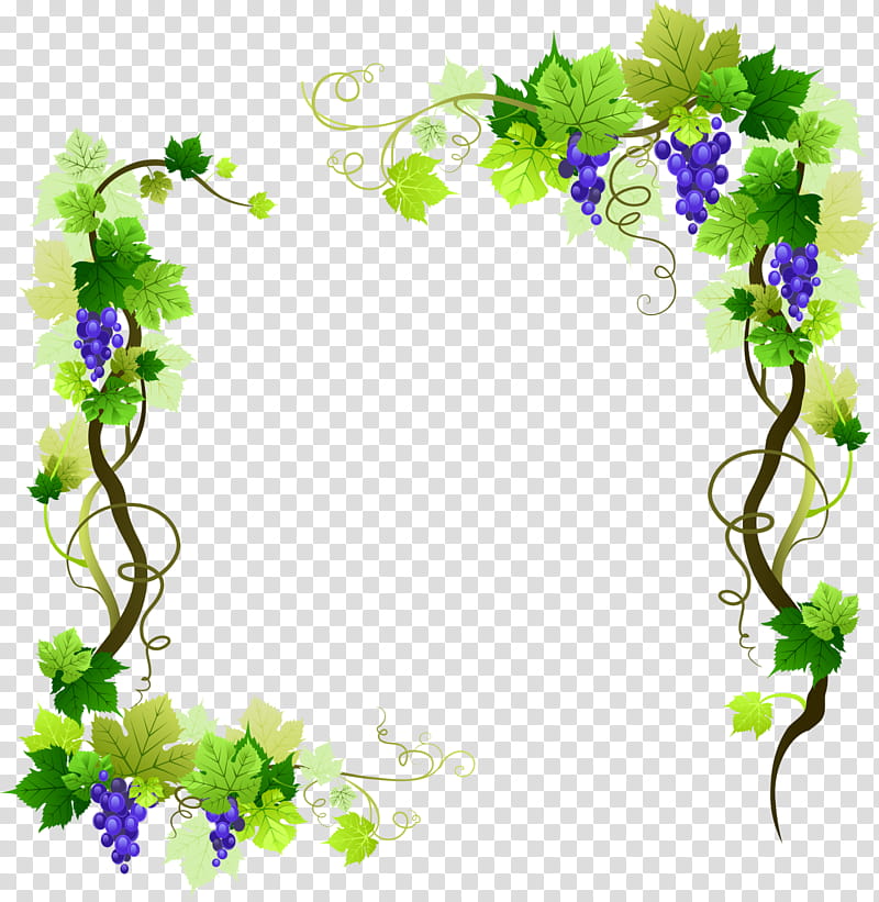 Green Leaves Border, Common Grape Vine, Grape Leaves, Grapevines, Flower, Flora, Grapevine Family, Plant transparent background PNG clipart