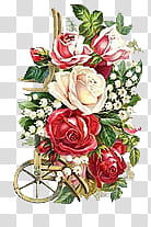 Dont Forget Love s, red, pink, and white roses illustration transparent background PNG clipart